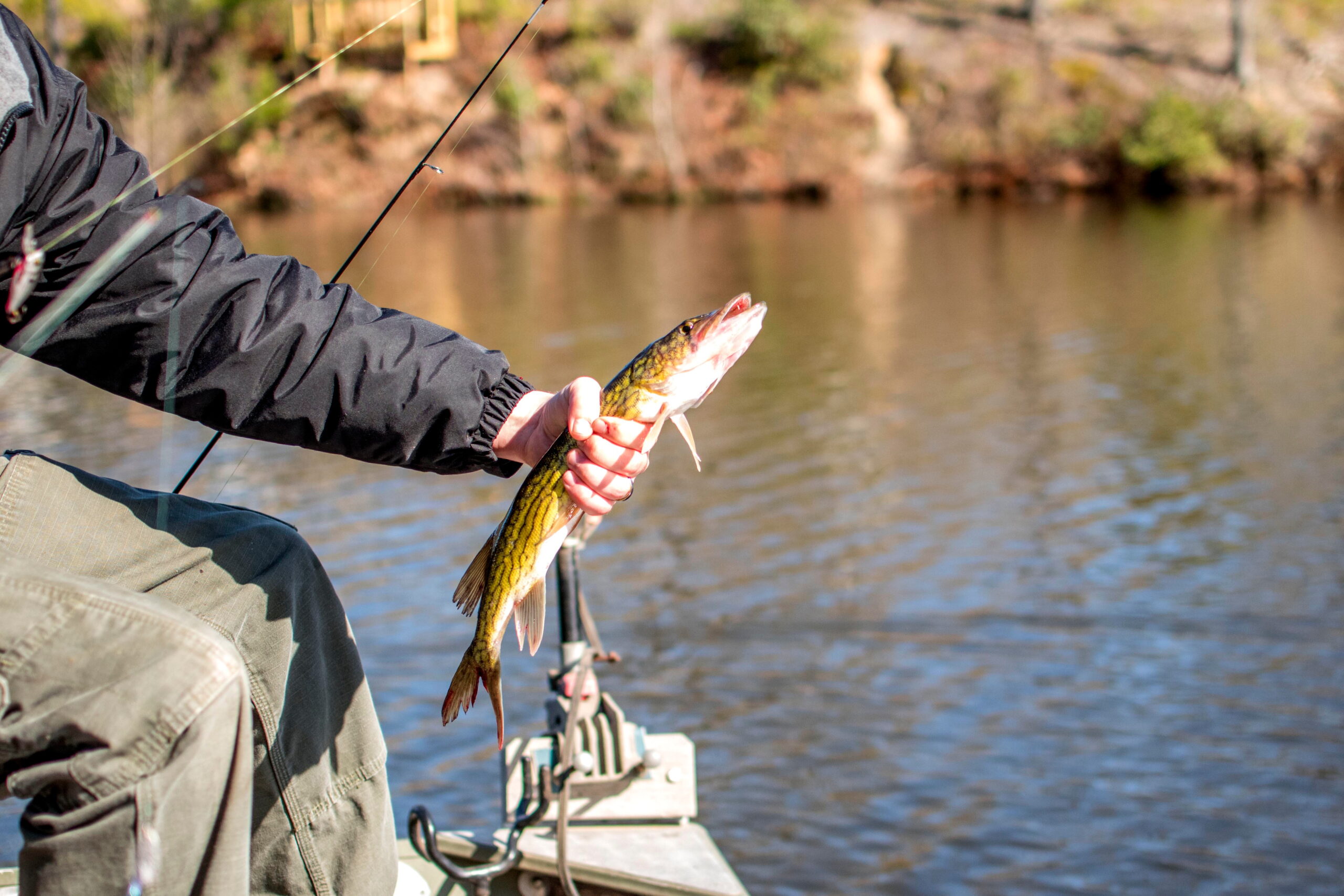 Chasing Pike in the Adirondacks: Where Our Adventures Began